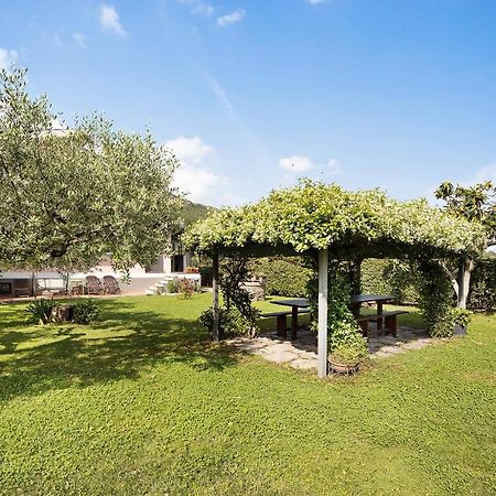 Mansarda Albero Verde con Piscina Casanova Lerrone Esterno foto