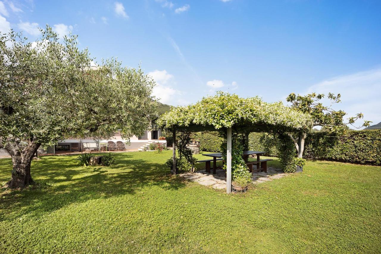 Mansarda Albero Verde con Piscina Casanova Lerrone Esterno foto