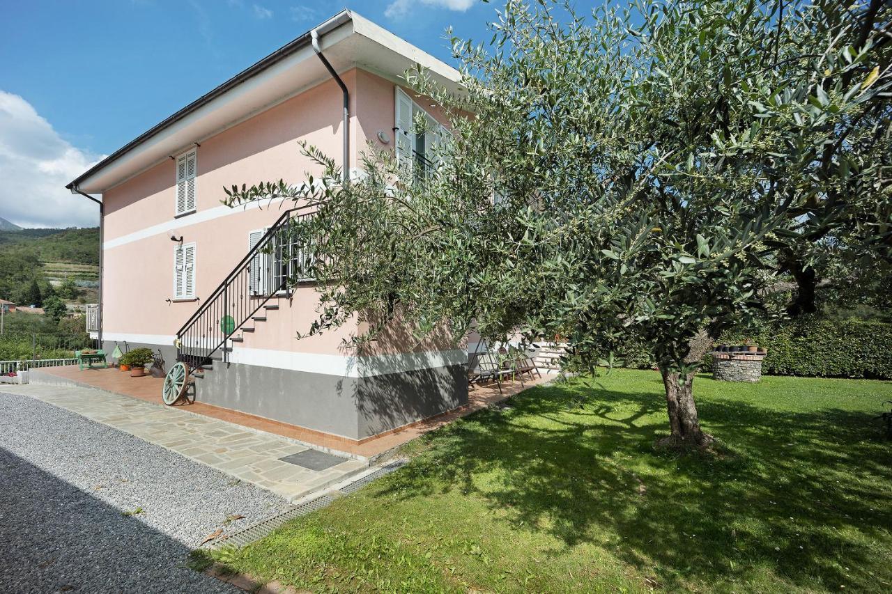 Mansarda Albero Verde con Piscina Casanova Lerrone Esterno foto